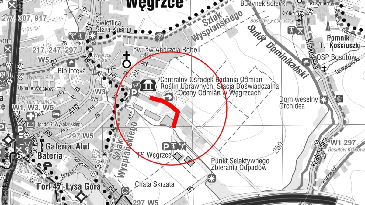 Modernizacja drogi w Węgrzcach: od czwartku utrudnienia i zamknięcie na czas asfaltowania
