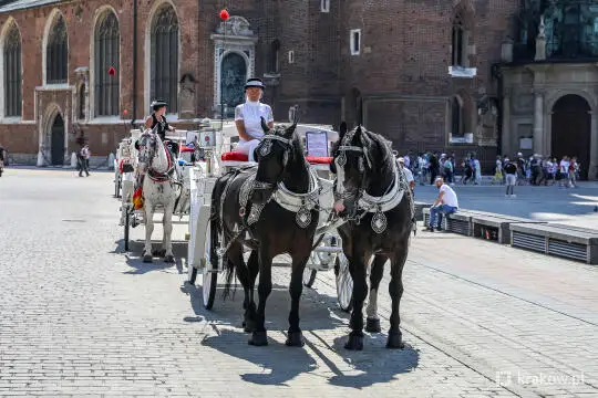 Kraków: W piątek zamknięty postój dorożek na Rynku Głównym z powodu upałów