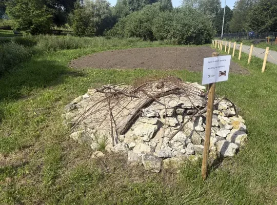 Kopczyki dla dzikich pszczół w Krakowie – pilotażowy projekt studentów