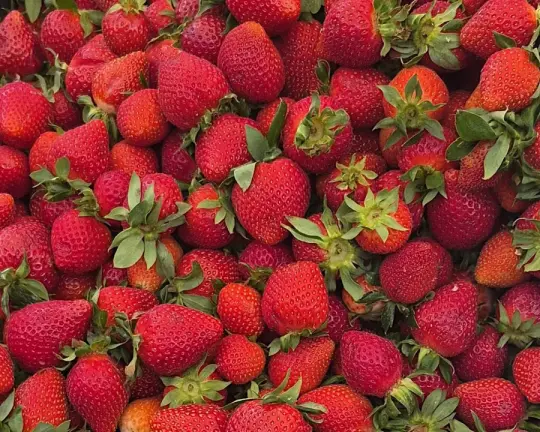 Letnie kulinarne podróże po krakowskich targowiskach