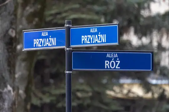 Przebudowa Alei Przyjaźni w Krakowie. Od poniedziałku pierwsze utrudnienia dla kierowców