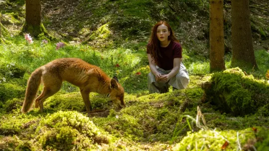 Filmowe poranki dla dzieci w Krakowie: Czytamy i oglądamy w Agrafce oraz Mała KIKA