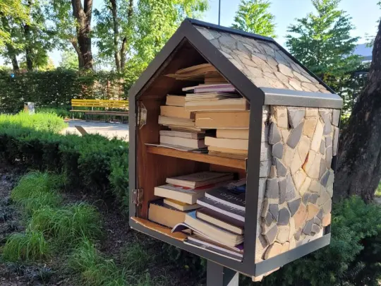 Wakacyjna lektura w cieniu drzew – biblioteczki plenerowe w Krakowie