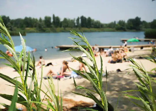 Krakowskie kąpieliska pod lupą radnych – bezpieczeństwo i modernizacje w centrum uwagi