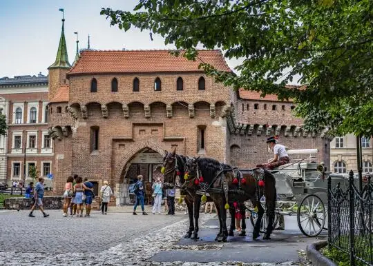 Kraków: Upał zamyka Rynek Główny dla dorożek