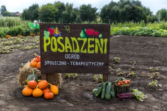 W Krakowie powstał ogród społeczno-terapeutyczny „Posadzeni” przy areszcie śledczym