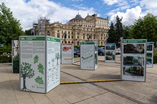 Zielona transformacja Krakowa: wystawa na Placu św. Ducha pokazuje, jak drzewa zmieniają miasto