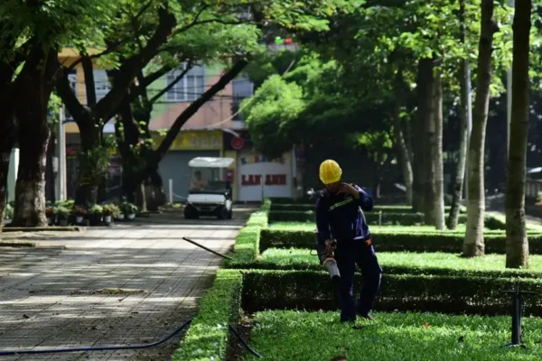 Prace porządkowe w parku w Mogilanach – apel o ostrożność