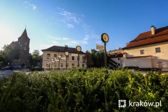 Zielona transformacja Krakowa: wystawa na Placu św. Ducha pokazuje, jak drzewa zmieniają miasto