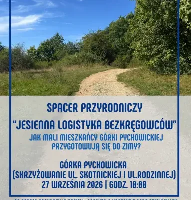 Spacer przyrodniczy po Górce Pychowickiej – jak bezkręgowce szykują się do zimy