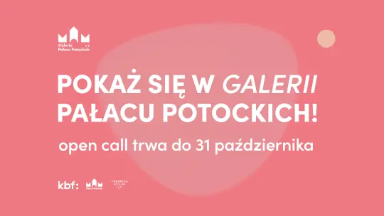 Galeria Pałacu Potockich szuka artystów. Ruszył otwarty nabór na wystawy 2027
