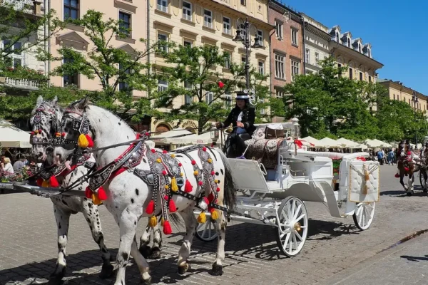 Kraków: zakaz przejazdu dorożek przez Rynek Główny z powodu upałów