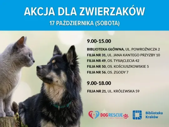 Kraków: oddaj dary dla zwierząt i odbierz książkę. Zbiórka w bibliotekach