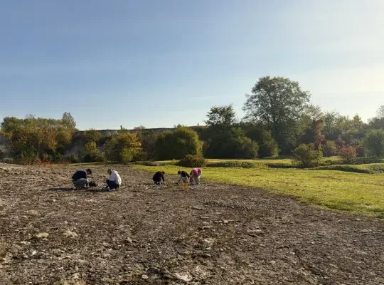 Wolontariusze i AirSpade w akcji. Rezerwat Bonarka odsłania skały z historią Ziemi