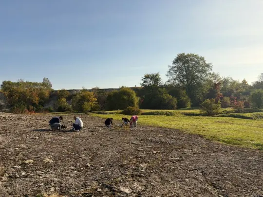 Wolontariusze i AirSpade w akcji. Rezerwat Bonarka odsłania skały z historią Ziemi
