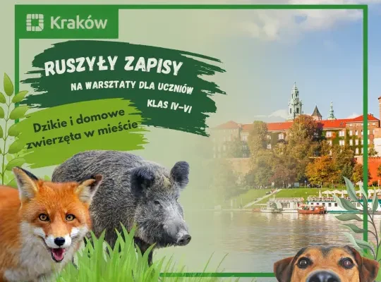 Kraków: warsztaty o dzikich zwierzętach w mieście – zapisy do 9 października